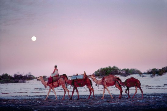 Rick Smolan's beautiful 1977 images of Robyn Davidson in the Australian Outback inspired the visual tone of the movie Tracks. © 2014 Rick Smolan, Against All Odds Productions II