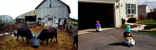Buckets take on very different meanings in this diptych of life on the farm and on the subdivision that replaced it. Image 2014 © Scott Strazzante, from Common Ground, PSG Books