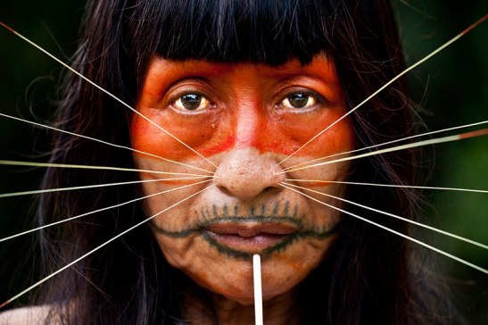 A Mayoruna Indian. The Mayoruna are also known as Matsés, or Cat People, for the spikes they insert in their faces.